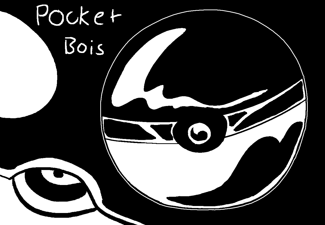 001-pocket bois.png